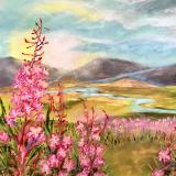 Alaska Fireweed