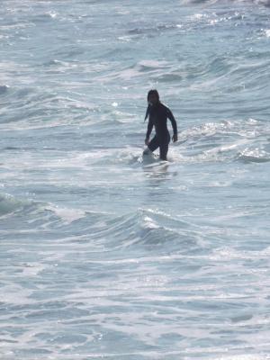 La Jolla Shores