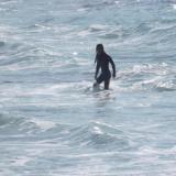 La Jolla Shores