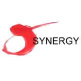 Synergy Art Foundation