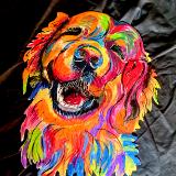 Colorful Dog