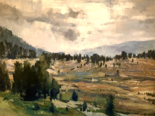 Montana Light