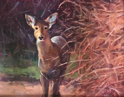 Fawn 16x20" oil Fawn 16x20" oil
