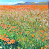 Poppies to the Horizon