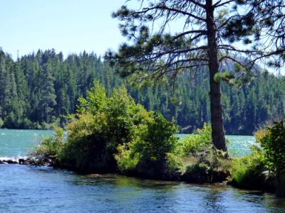 Suttle Lake