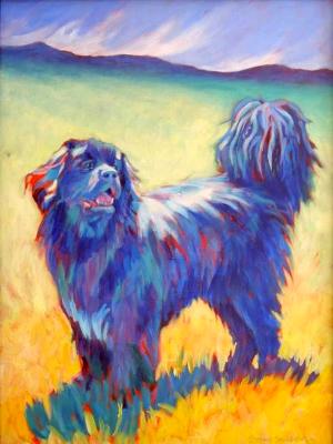 Nana - a Newfoundland Nana - a Newfoundland