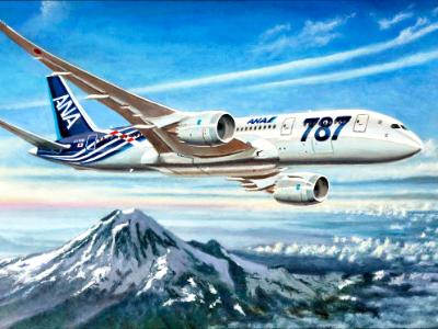 ANA Boeing 787 ANA Boeing 787