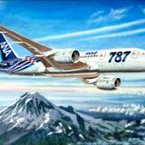 ANA Boeing 787