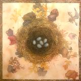 Full Nest