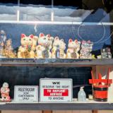 Jan Swan Paintings and Photography