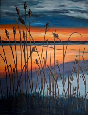 Sunset with Reeds
