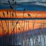 Sunset with Reeds