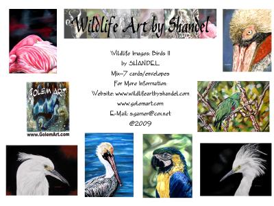 Note Cards: Birds II--Exotic Birds