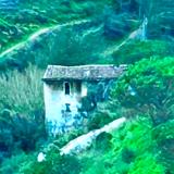 Jacqueline Ross Arriaga da Cunha  Paintings  