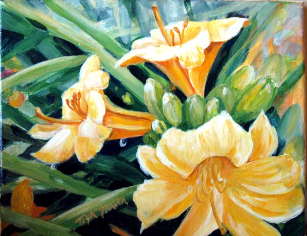 Lilies by day