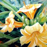 Lilies by day