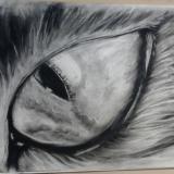 Charcoal