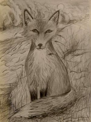 Fox in Landscape 