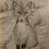 Fox in Landscape 