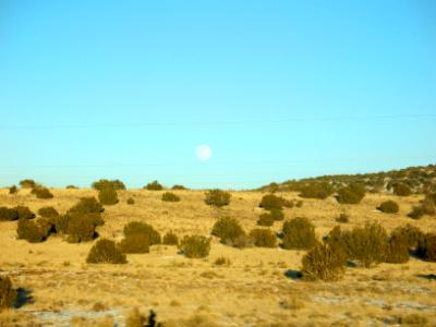 Desert Moon Rising