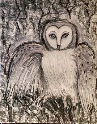 Owl in Grayscale 