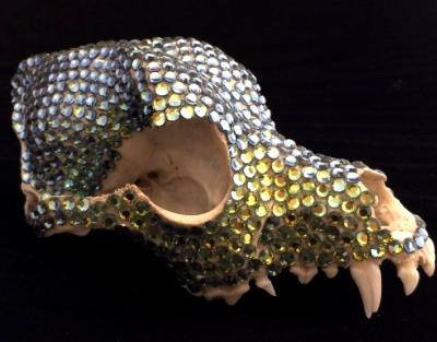 Fox Skull Right - Sold Fox Skull Right - Sold