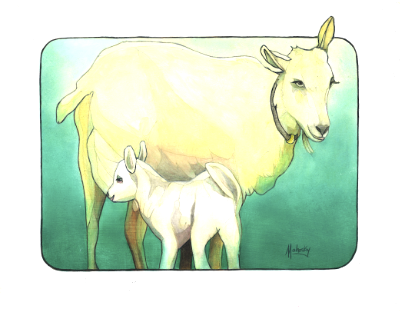 Mother and baby goat Mother and baby goat