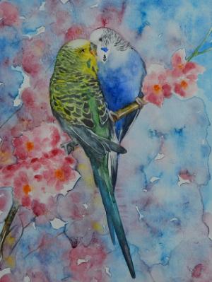 Custom portrait of a couple of parakeets, 35cm x 50cm, 2017 Custom portrait of a couple of parakeets, 35cm x 50cm, 2017