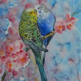 Custom portrait of a couple of parakeets, 35cm x 50cm, 2017