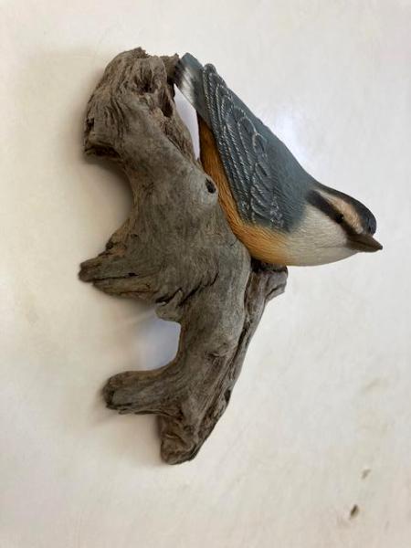 Red Breasted Nuthatch #39