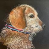 Charlie #2