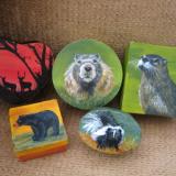 Deer at Sunset, River Otter, Woodchuck, Black Bear and Baby Skunk