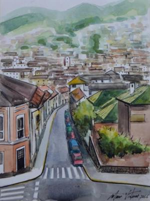 View of the La Tola neighborhood, 30cm x 40cm, 2016