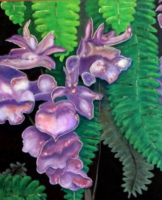Madeira Orchids