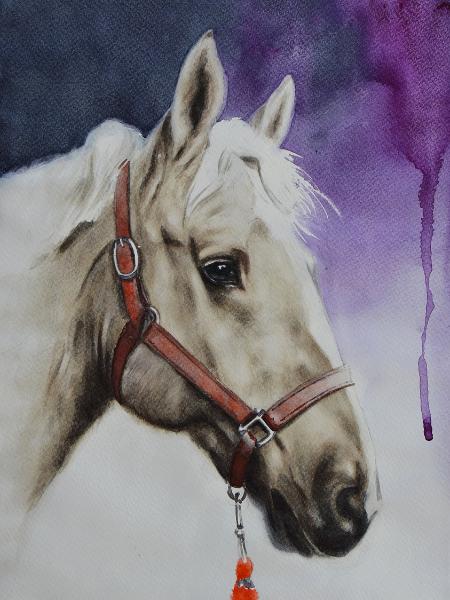 The beauty of the Orlov Trotter Horse, 35cm x 50cm, 2019