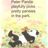 Peter Panda