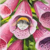 "BeeHind"