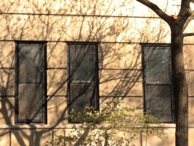 Shadows on Building