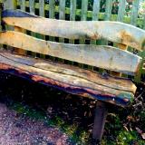 The old wooden bench