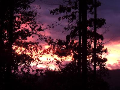 A New Morning A New Morning