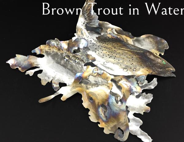 Brown Trout in Water