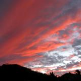 Sailor's Delight