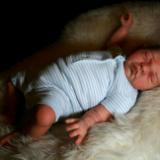 Reborn Baby Boy ~ Danny ~ ADOPTED/SOLD