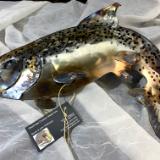 Torched Brown Trout