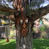 Green Man Tree Face