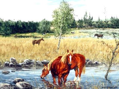 The Scandinavian horses, 80cm x 60cm, 2012