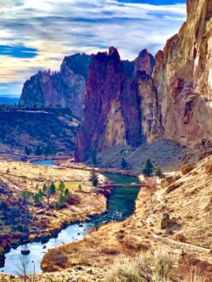 Purple Majesty-Smith Rock Purple Majesty-Smith Rock