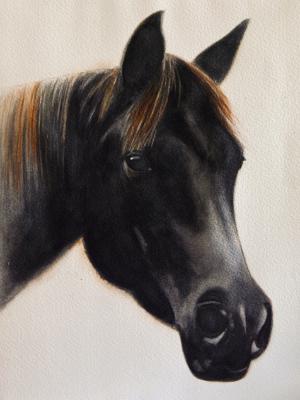 NAJUBA, 25cm x 35cm, 2017 NAJUBA, 25cm x 35cm, 2017