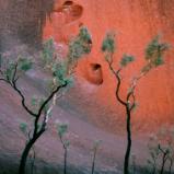 Heart of Uluru