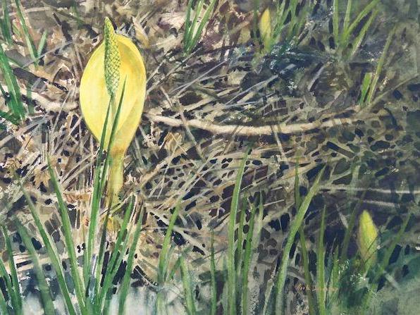  Jack E. Dorsey of  Camano Island, Northwest Fine Artist